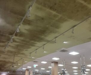 店舗の“天井”が、集客に影響していませんか？最大防カビ10年保証のグラシオンのカビ取りのご紹介【愛知常滑店】