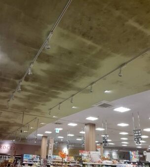 店舗の“天井”が、集客に影響していませんか？最大防カビ10年保証のグラシオンのカビ取りのご紹介【愛知常滑店】