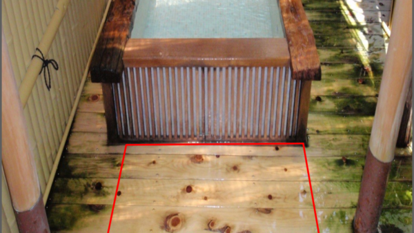 苔・藻類除去の完全ガイド
