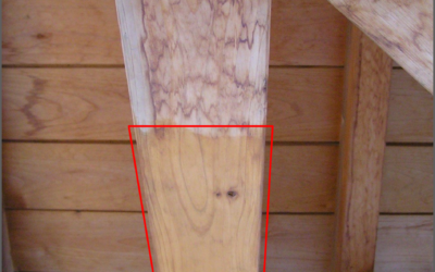 【温浴施設向け】防カビ・鏡・床のコーティングで清掃時間を短縮【新潟寺尾店】