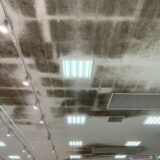 天井のカビ掃除、まだ「擦って」る？梅雨前にプロが教える「防カビコーティング」の重要性