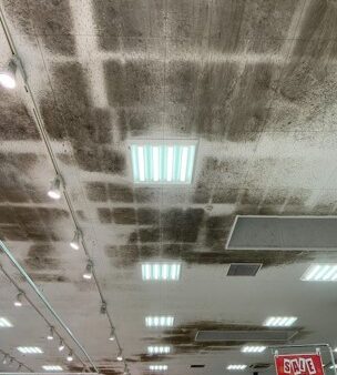 天井のカビ掃除、まだ「擦って」る？梅雨前にプロが教える「防カビコーティング」の重要性