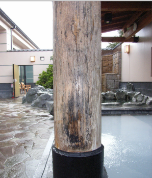 施工前画像：【兵庫神戸市】木化粧柱のカビ除去