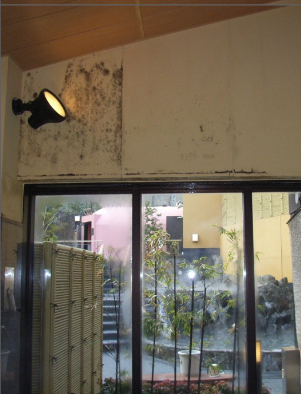 施工前画像：【新潟新潟市】壁面のカビ