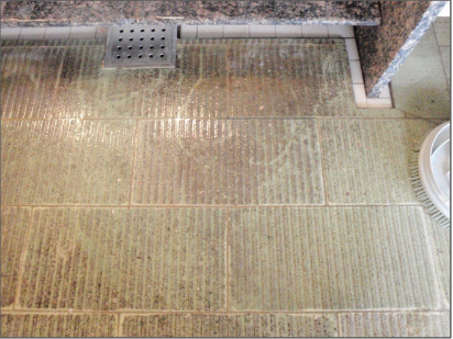施工前画像：【神奈川本厚木市】十和田石のカビ・金属石鹸除去