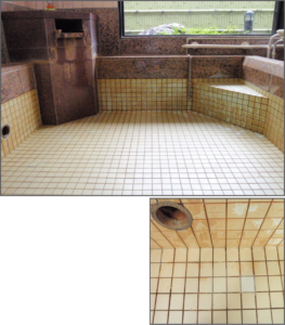 タイルスケール除去ナトリウム系