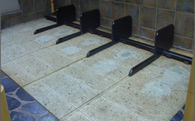 十和田石【カビ・苔藻類（鉄分）】除去