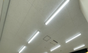 カビ取りコーティングのガイド:効果的な方法と予防策