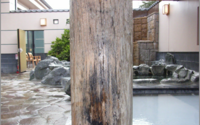 木化粧柱カビ取り