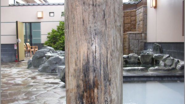 練馬のカビ取り・カビ防止｜黒カビ/水回り/壁紙/天井/お風呂/洗面所/トイレ清掃はグラシオン
