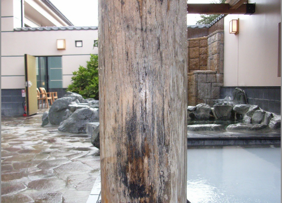 木化粧柱カビ取り