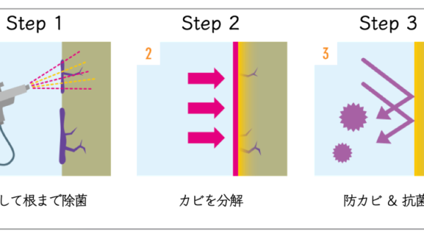 カビ取り・防カビコーティングで自宅のカビ対策！カビが発生しやすい場所5選【兵庫・大阪・関西】