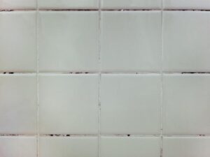 お風呂のカビ防止策【兵庫県周辺地域にお住まいの方】