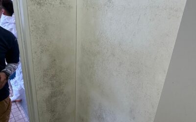 和歌山障害者支援施設浴室カビ取り