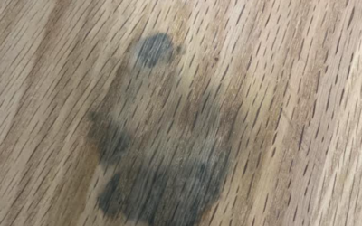 【フローリングの黒ずみ、どう落とす？予防と対策もご紹介】
