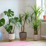 フロアコーティングで観葉植物の床べたべたを防ぐ！東京の住宅向け対策