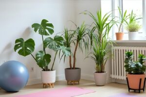 観葉植物の床がベタベタする悩みを解決!グラシオンのフロアコーティング