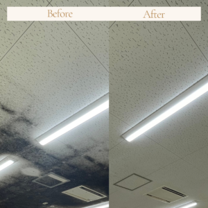 客席エリアの天井を清潔に！ジプトーン天井用カビ対策コーティング