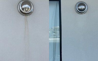 外壁にもカビ対策！屋外対応コーティングで家全体を美しく