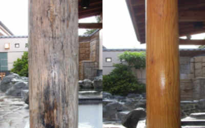 【法人・旅館向け】木材のカビ取りは交換不要？営業を止めずに行う対策方法とは