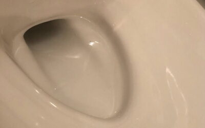 トイレの「サボったリング」──その原因と対策、予防にはコーティングが効く！【愛知常滑店】