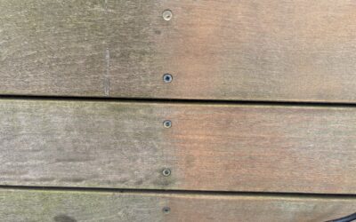 木材のカビ取りは表面掃除だけでは不十分｜原因と再発を防ぐ正しい対策【郡山市】