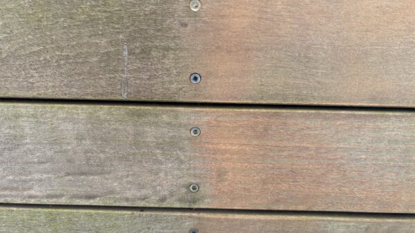 カフェ外観の苔取りと再発防止に！ガラスコーティングで清潔感アップ【新潟寺尾店】