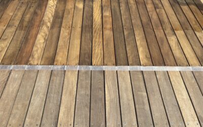 木材のカビ取りは表面掃除だけでは不十分｜原因と再発を防ぐ正しい対策【愛知常滑店】