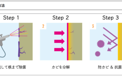 【関西全域対応】カビ取りだけでは不十分！？「防カビコーティング」で根本対策を！