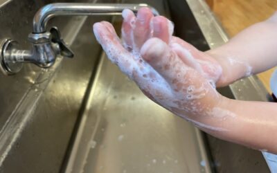 「洗う場所」を「菌が寄り付かない場所」へ！シンクの抗菌コーティング