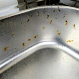 そのサビ、諦めていませんか？シンクのコーティングでサビと決別！