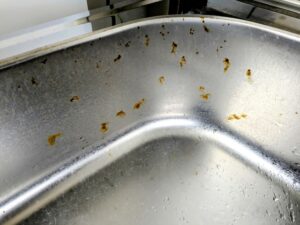 シンクのサビや傷…「もう仕方ない」と諦めていませんか？