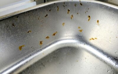 シンクのサビや傷…「もう仕方ない」と諦めていませんか？