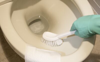 トイレ掃除の悩みを解決！コーティングで清潔をキープ【大阪住吉店】