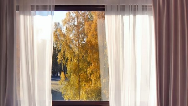 結露・カビを防ぐ!冬におすすめの浴室・窓ガラスコーティング術