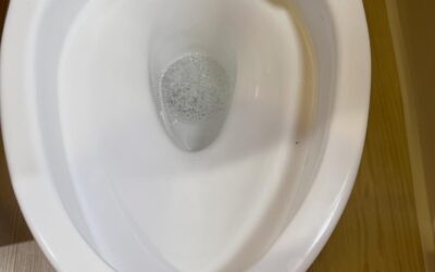 家族の想いがつながった“におい対策コーティング