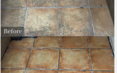 外壁カビ取りとは？外壁タイル・サイディング・塗り壁に最適な防カビコーティングの効果とメリット（グラシオン佐賀小城店）