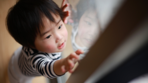 🌿花粉・アレルギー対策の抗菌コーティング【兵庫淡路店】【徳島店】