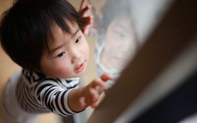 🌿花粉・アレルギー対策の抗菌コーティング【兵庫淡路店】【徳島店】
