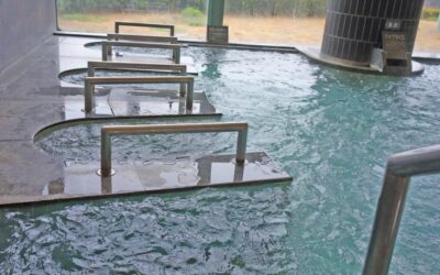 施設別コーティング活用ガイド｜清掃時間短縮と衛生管理に役立つ施工提案【新潟寺尾店】