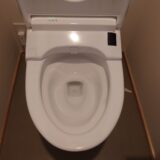 【年末大掃除】トイレの黄ばみ・尿石・黒ずみをスッキリ落とす掃除方法【新潟寺尾店】