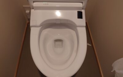 【年末大掃除】トイレの黄ばみ・尿石・黒ずみをスッキリ落とす掃除方法【新潟寺尾店】