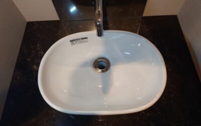 その洗面ボウルは「菌の実験場」になっていませんか？抗菌コーティングで手に入れる衛生的な朝