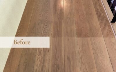 画像に alt 属性が指定されていません。ファイル名: -1003x1024.jpeg