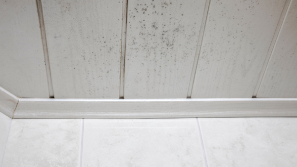 お風呂のカビを何とかしたい！原因とプロによる根本対策とは？