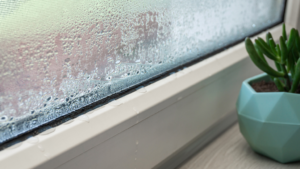 冬のカビ対策とは?関西(神戸・兵庫・大阪・京都・奈良)で今すぐできる簡単対策と、長期的に守る防カビコーティングのすすめ