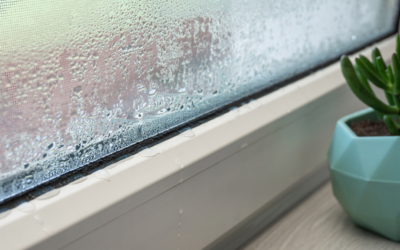 冬のカビ対策とは？関西（神戸・兵庫・大阪・京都・奈良）で今すぐできる簡単対策と、長期的に守る防カビコーティングのすすめ