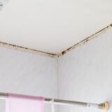 梅雨でもカビ知らず！浴室・洗面所の防カビコーティングで清潔が続く住まいへ