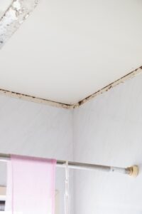 冬の室内干しによる湿気・カビ対策に！壁・天井コーティングの効果とは