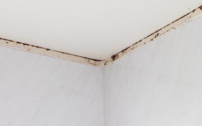 冬の室内干しによる湿気・カビ対策に！壁・天井コーティングの効果とは